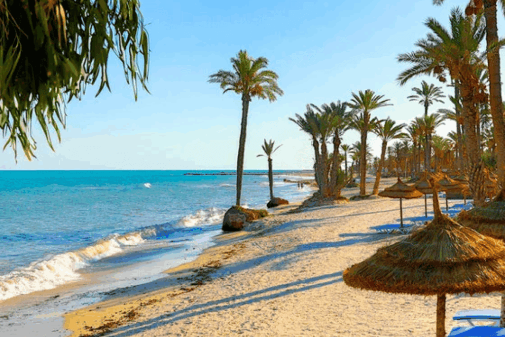 Djerba Island
